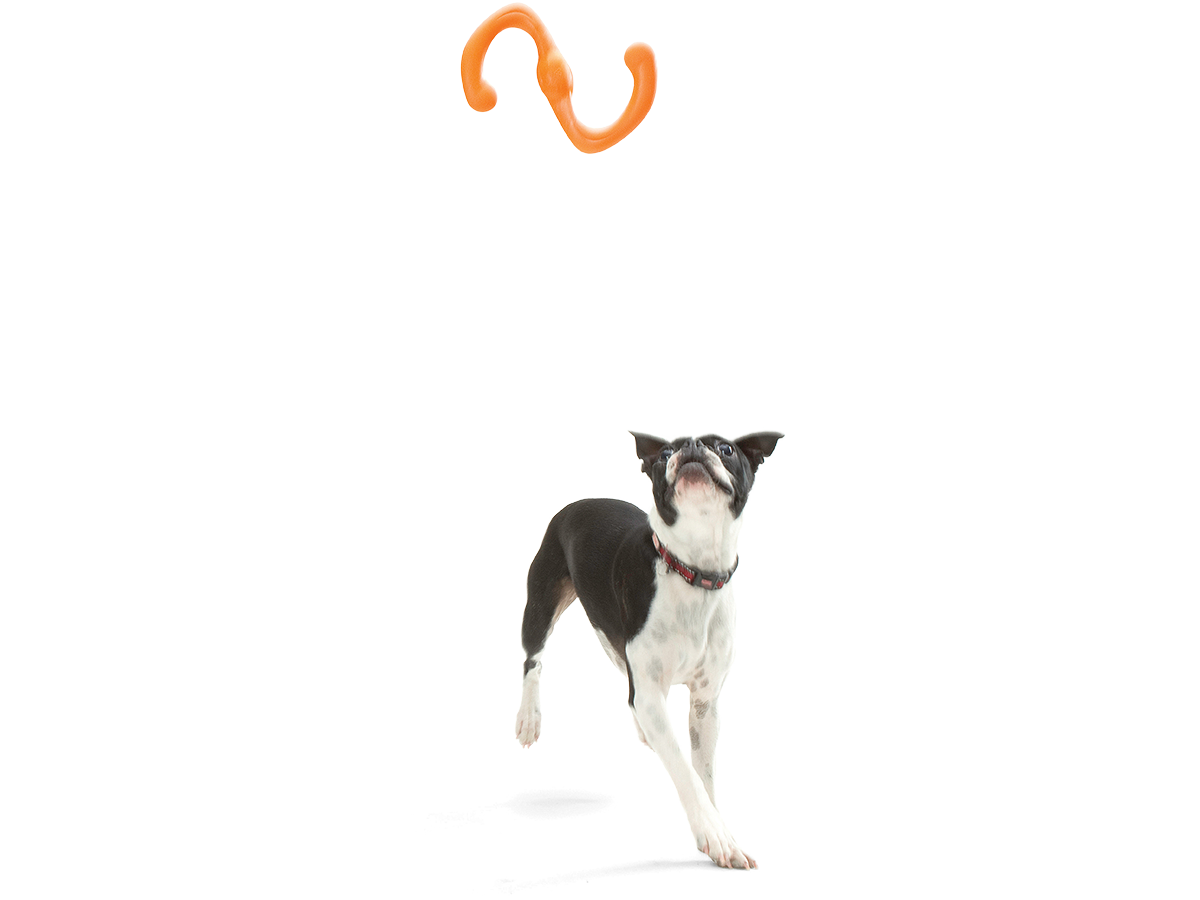 Bumi®