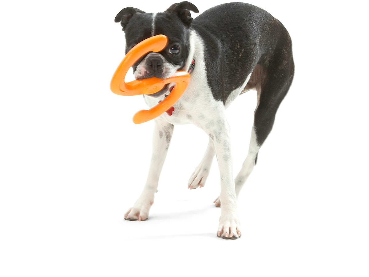 Bumi®