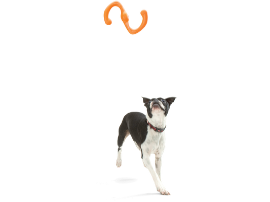Bumi®